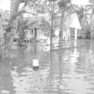 Kondisi rumah yang terendam banjir di Desa Lakapera