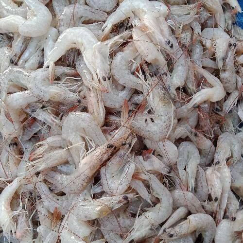 77a9fdd6-2a7f-4516-b1ad-19ff7c3c7d7a