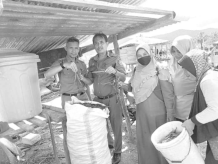 Kadis TPHP Konawe Gunawan Samad (dua dari kiri) beserta stafnya melakukan panen cabai di Desa Unaasi Jaya, Kecamatan Abuki.
