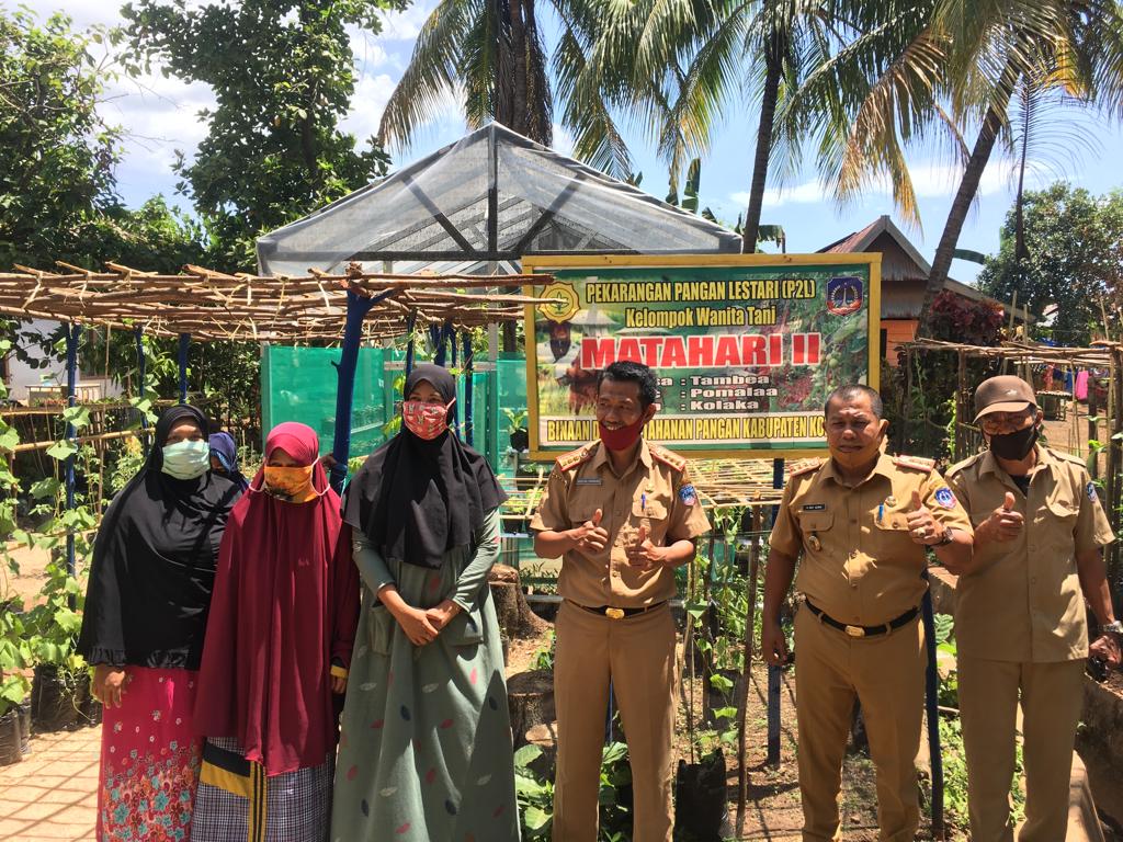 Kepala Dinas Ketahanan Pangan Kolaka, Muhammad Azikin (kedua dari kanan) saat memantau program pemanfaatan lahan pekarangan kelompok tani wanita di Desa Tambea, Kecamatan Pomalaa.