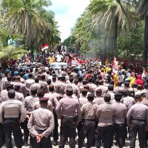 demo11