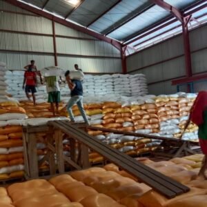 Suasana pengangkutan beras di gudang Bulog Konawe
