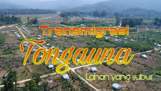 TONGGAUNANAUNA