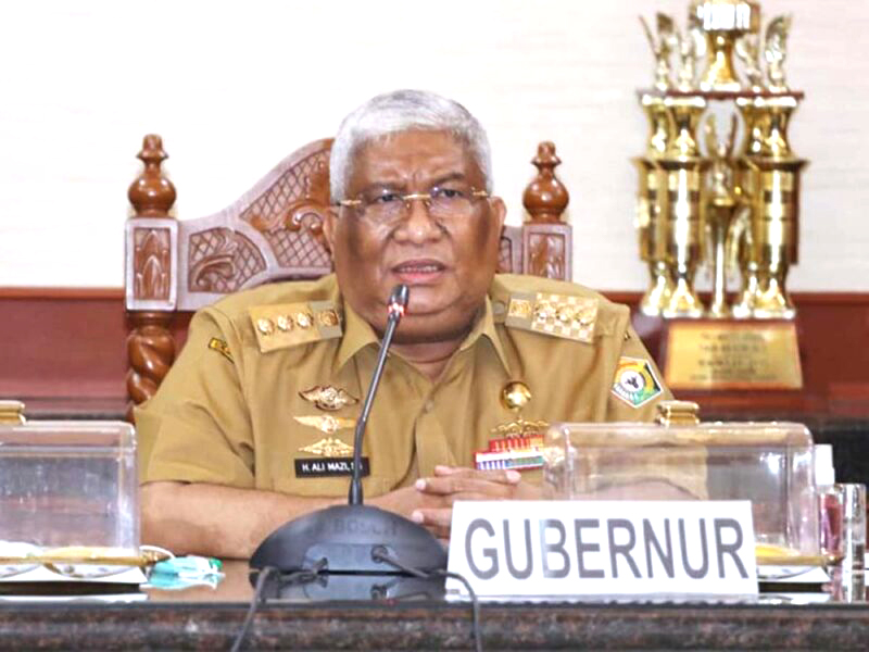 Gubernur Sultra Ali Mazi