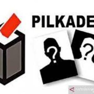 pilkades