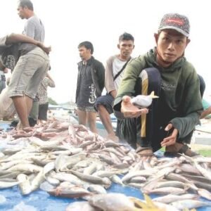 ikan