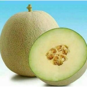 melonnn