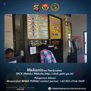 skck