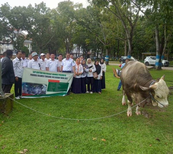 Bupati Konawe Kery Saiful Konggoasa (tiga dari kiri), melepas indukan sapi seberat 1 ton yang dikembangbiakkan peternak di kelurahan Arombu kecamatan Unaaha. Saat idul adha tahun 2022, sapi itu dibeli oleh Presiden RI JokoWI untuk dikurbankan bagi masyarakat Kepulauan Buton.