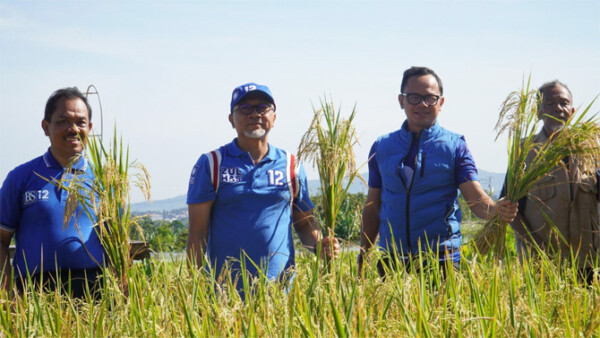 Mendag Zulkifli Hasan (dua dari kiri) panen padi perdana tahun 2023 di sawah agro wisata organis Mulyaharja, Bogor Selatan. (Istimewa)