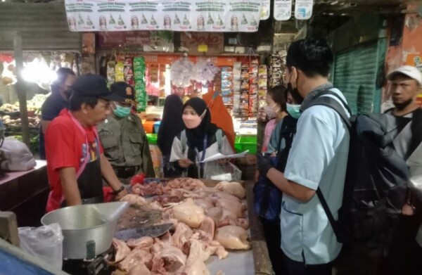Pengecekan unggas di pasar untuk cegah flu burung. (Istimewa)