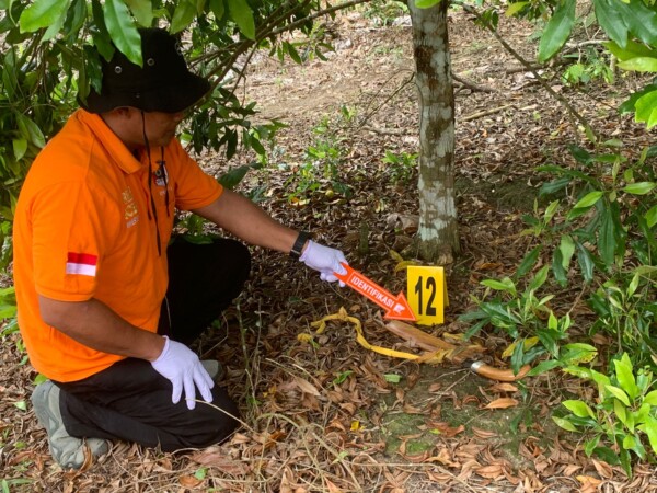 WhatsApp Image 2023-05-25 at 07.50.05