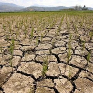 el-nino-1436171077502-1461810532459