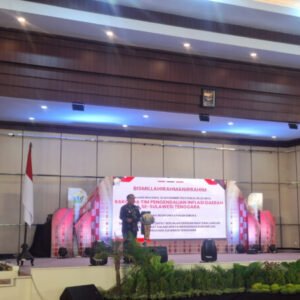 image-1-29