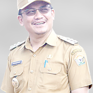 Parinringi, SE., M.Si. Kepala DPM-PTSP Sultra