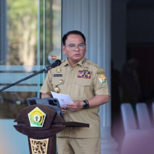 Pj Gubernur Sultra Andap Budhi Revianto
