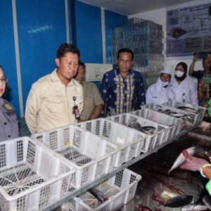 Pj Wali Kota Kendari, Asmawa Tosepu, saat memantau hasil tangkapan nelayan di Kelurahan Petoaha.