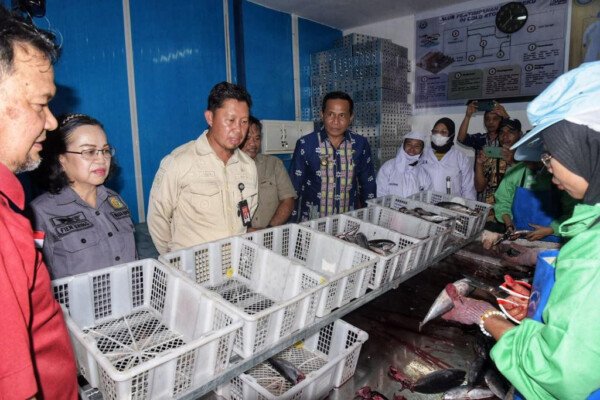 Pj Wali Kota Kendari, Asmawa Tosepu, saat memantau hasil tangkapan nelayan di Kelurahan Petoaha.