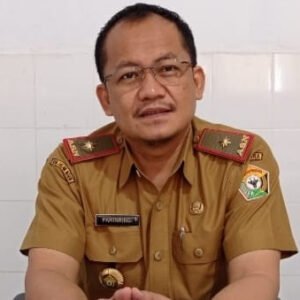 Kepala DPM PTSP Sultra, Parinringi