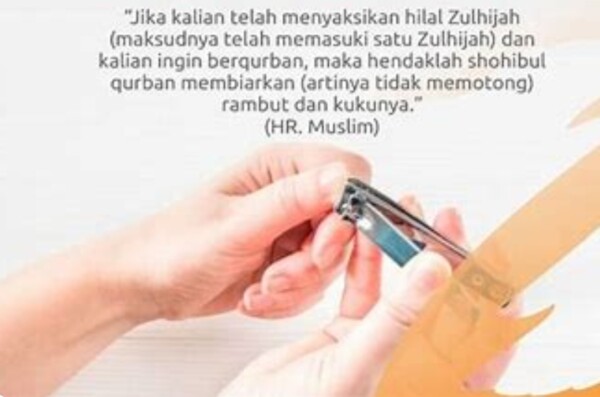 Screenshot_20240612_093355