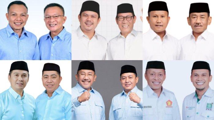 gub wali dan bupati terpil