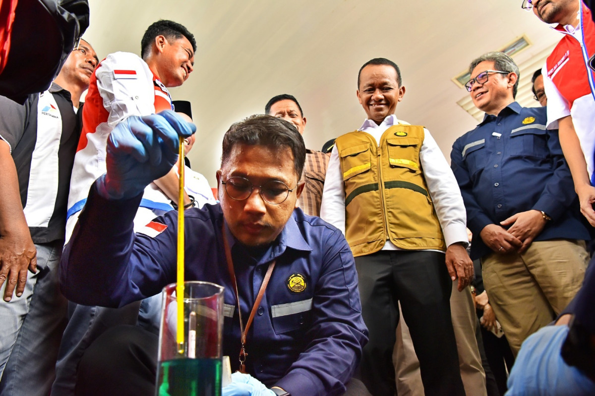 WhatsApp Image 2025-03-10 at 15.39.31