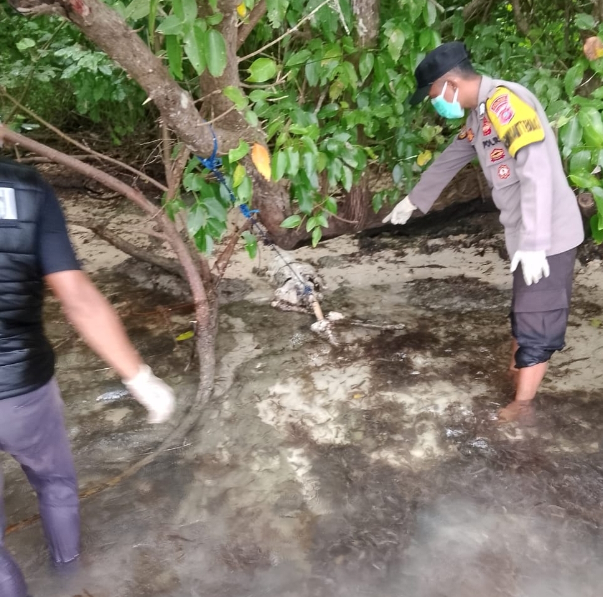 Screenshot_20250715_065009