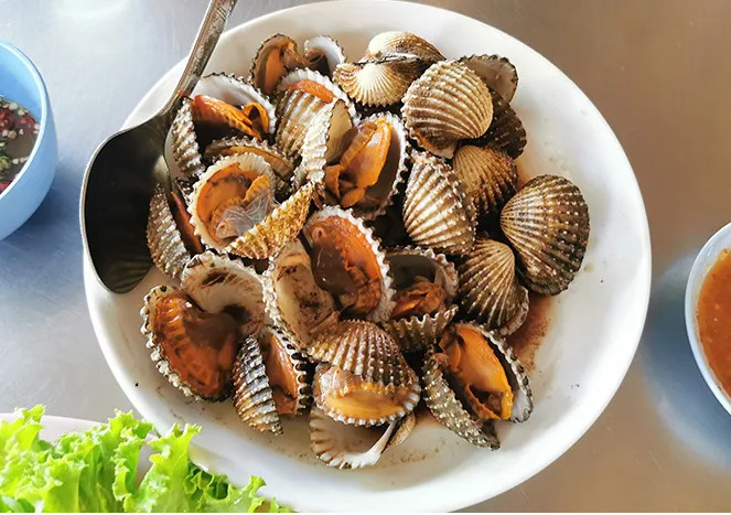 kerang